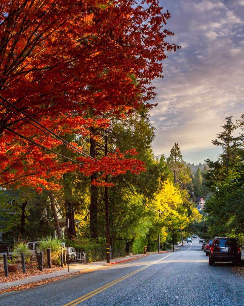 fall colors on a side street in Nevada City California Nevada County