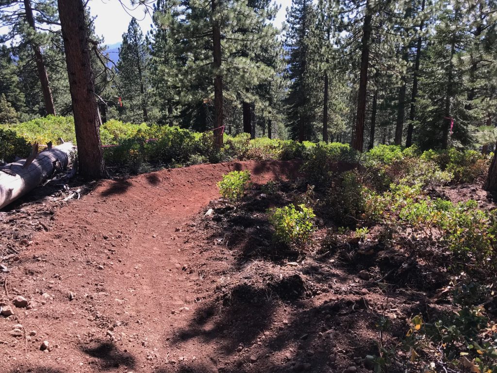 banked turn on Happy Face MTB trail in Truckee California