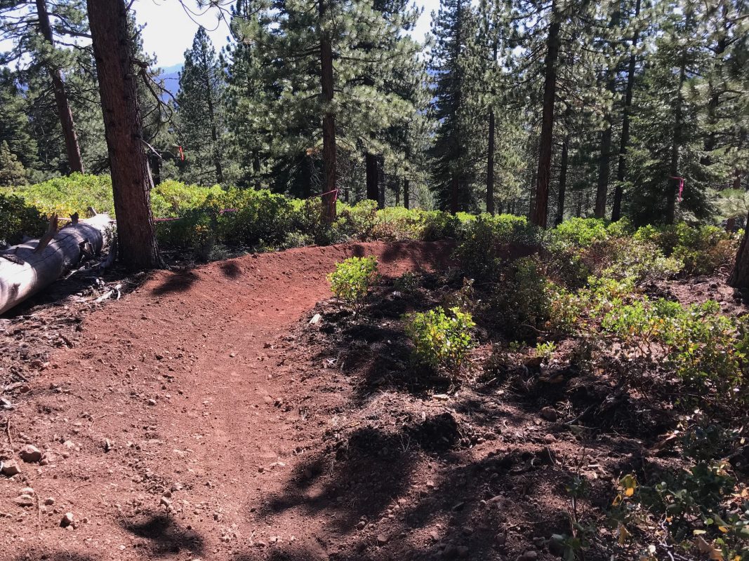 banked turn on Happy Face MTB trail in Truckee California