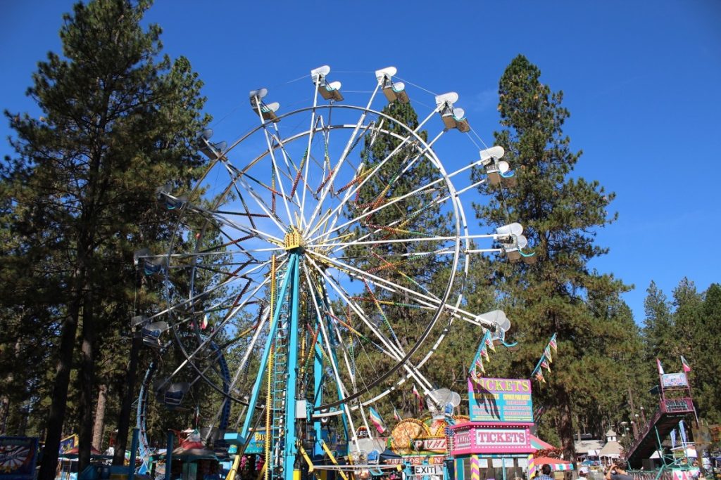 ferris wheel in the trees in Nevada County Fairgrounds