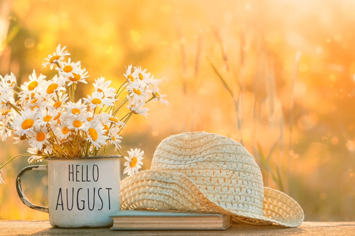 Things to do in August
