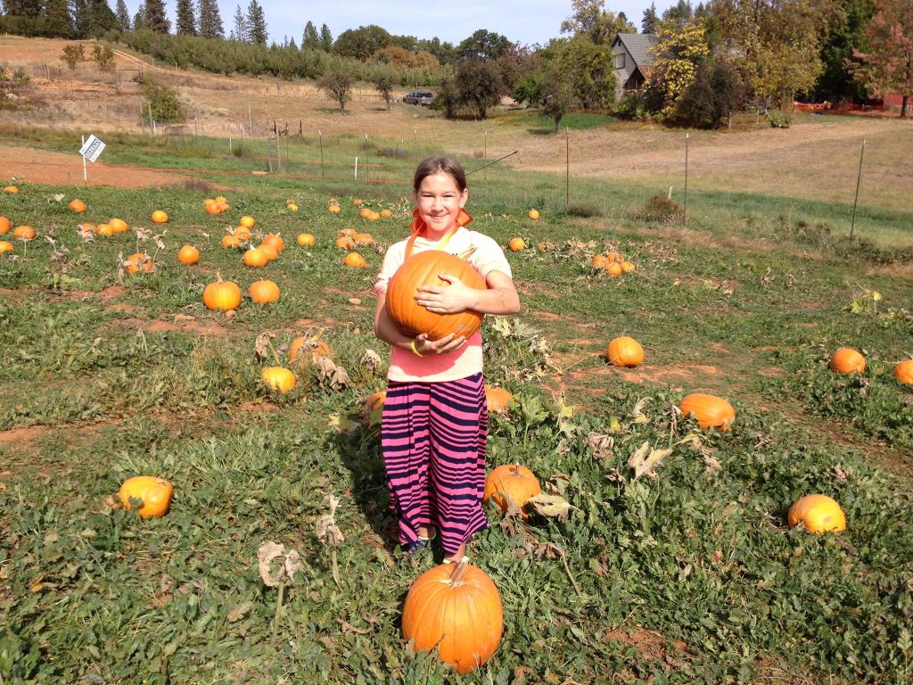 girl within a giant field at Bierwagens Pumpkin Patch filled with ripe pumpkins