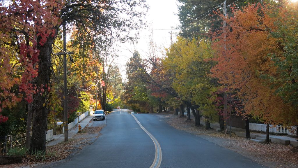 tree lined side street with colorful maples and oaks winding through Nevada City