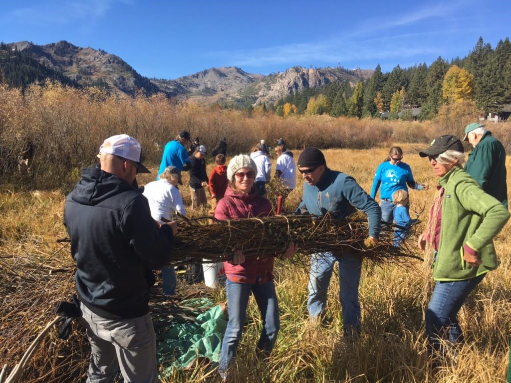 volunteers working in a marsh near Truckee River on a sunny fall day