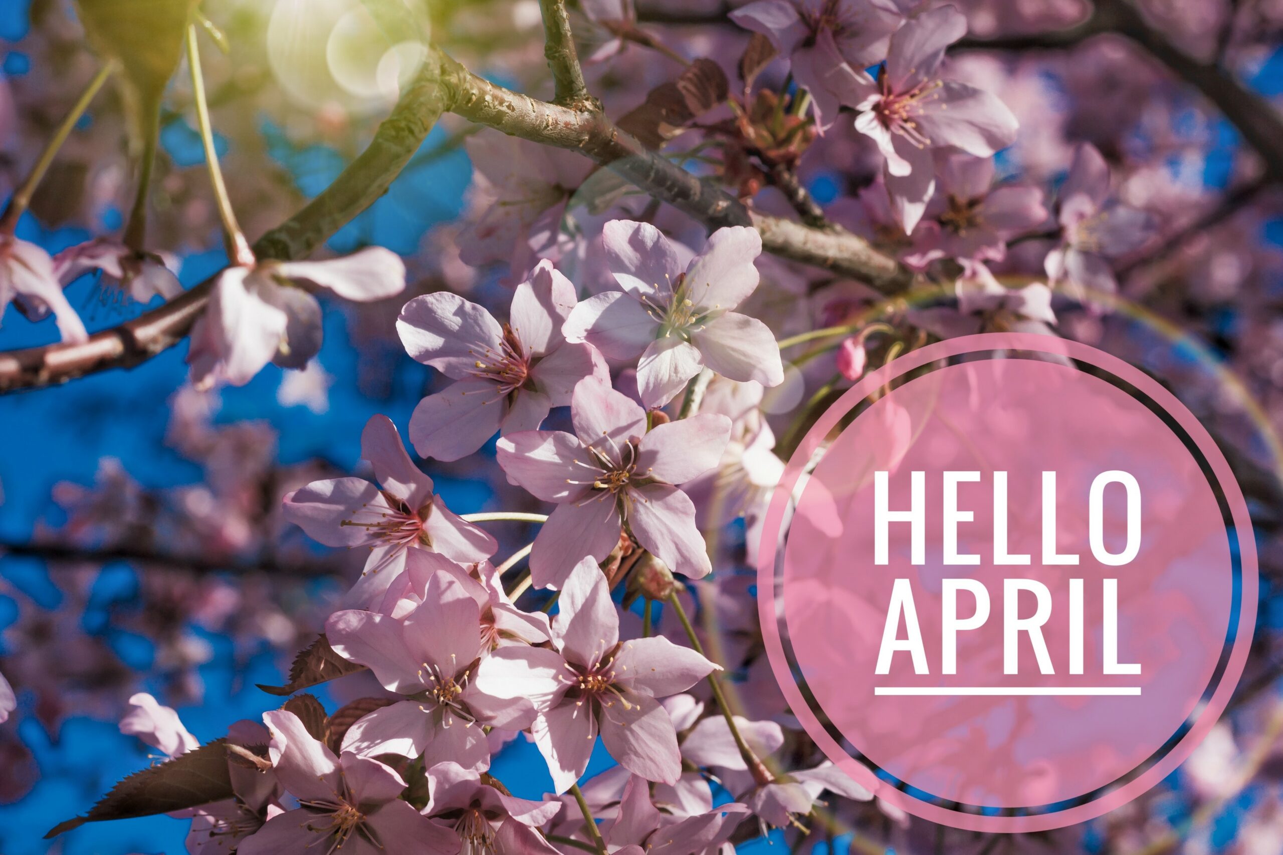 March Showers Bring April Flowers -things To Do In April