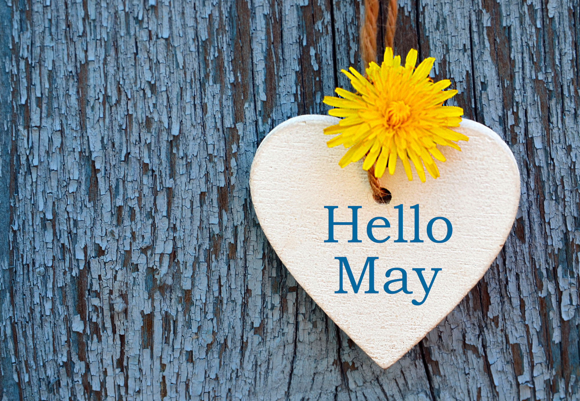Rodeos Pond Skims Things To Do In May In Nevada County Rodeos Pond Skims Things To Do In May In Nevada County