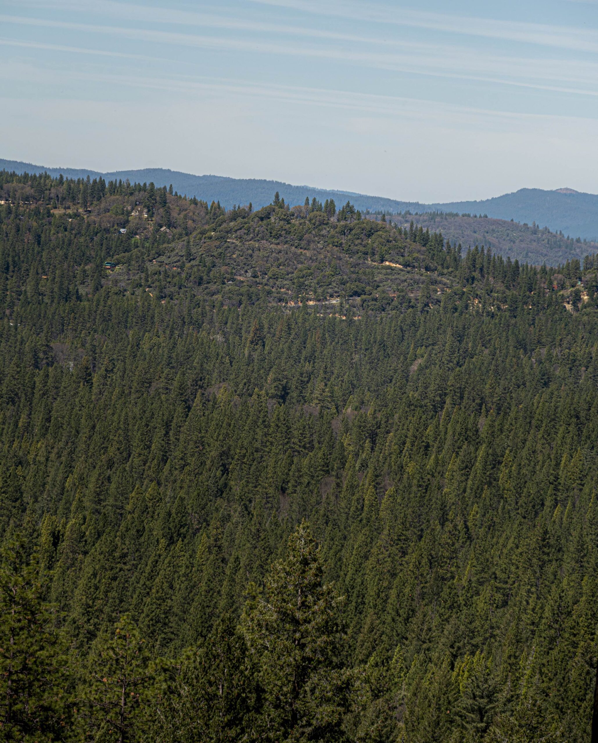 Scenery from Woodpecker Preserve which connects to Cascade Canal Trail