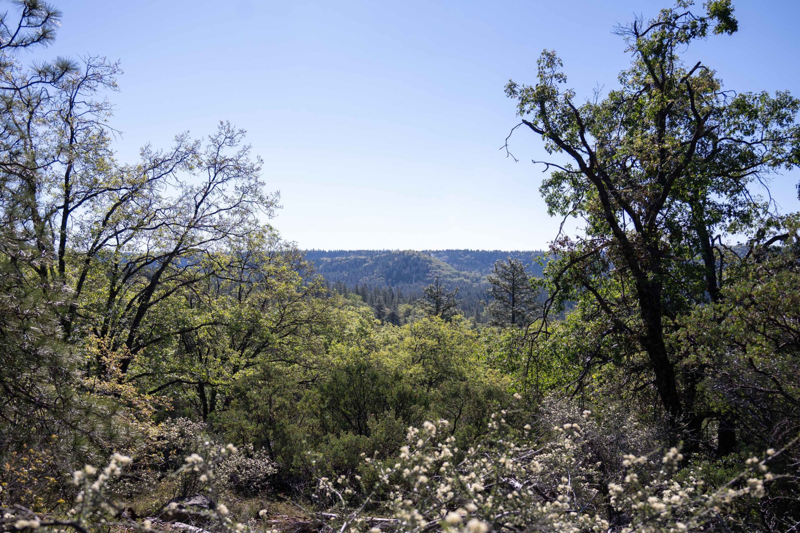 The view from Coyote Overlook