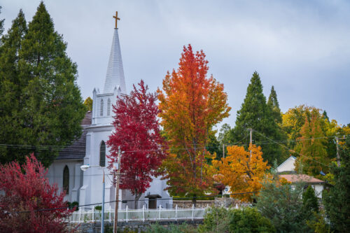 fall foliage in downtown Nevada City California