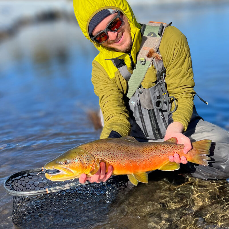 winter fly fishing of a river brown trout on Truckee River in Nevada County California