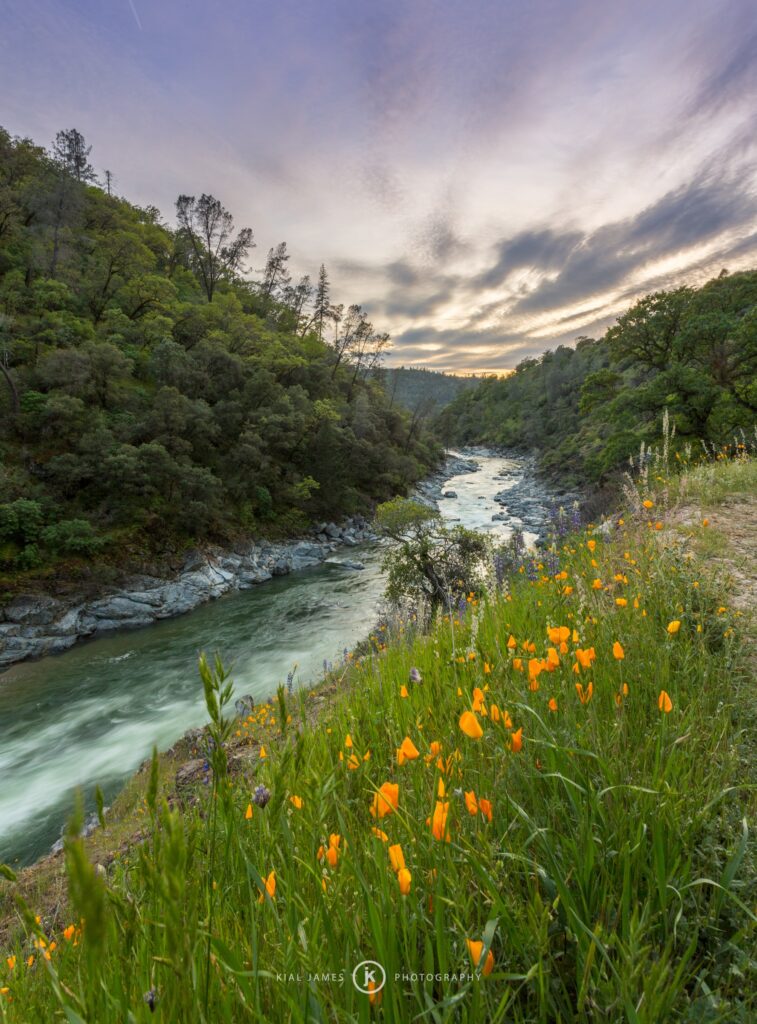 The Buttermilk Bend Trail overlooking the South Yuba River