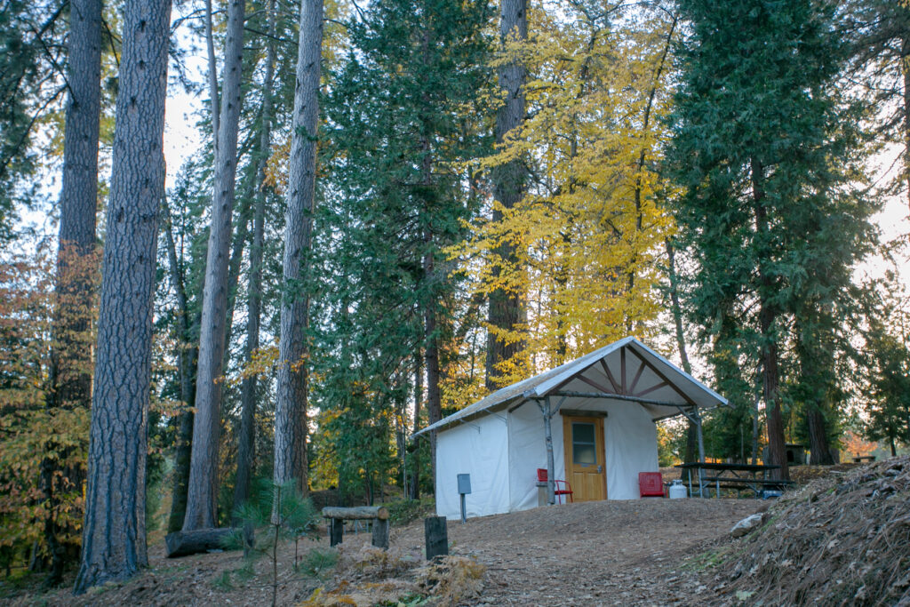 fall foliage at Inn Town Campground with glamping cabin in front