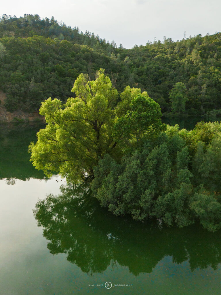 natural surroundings of Englebright Lake