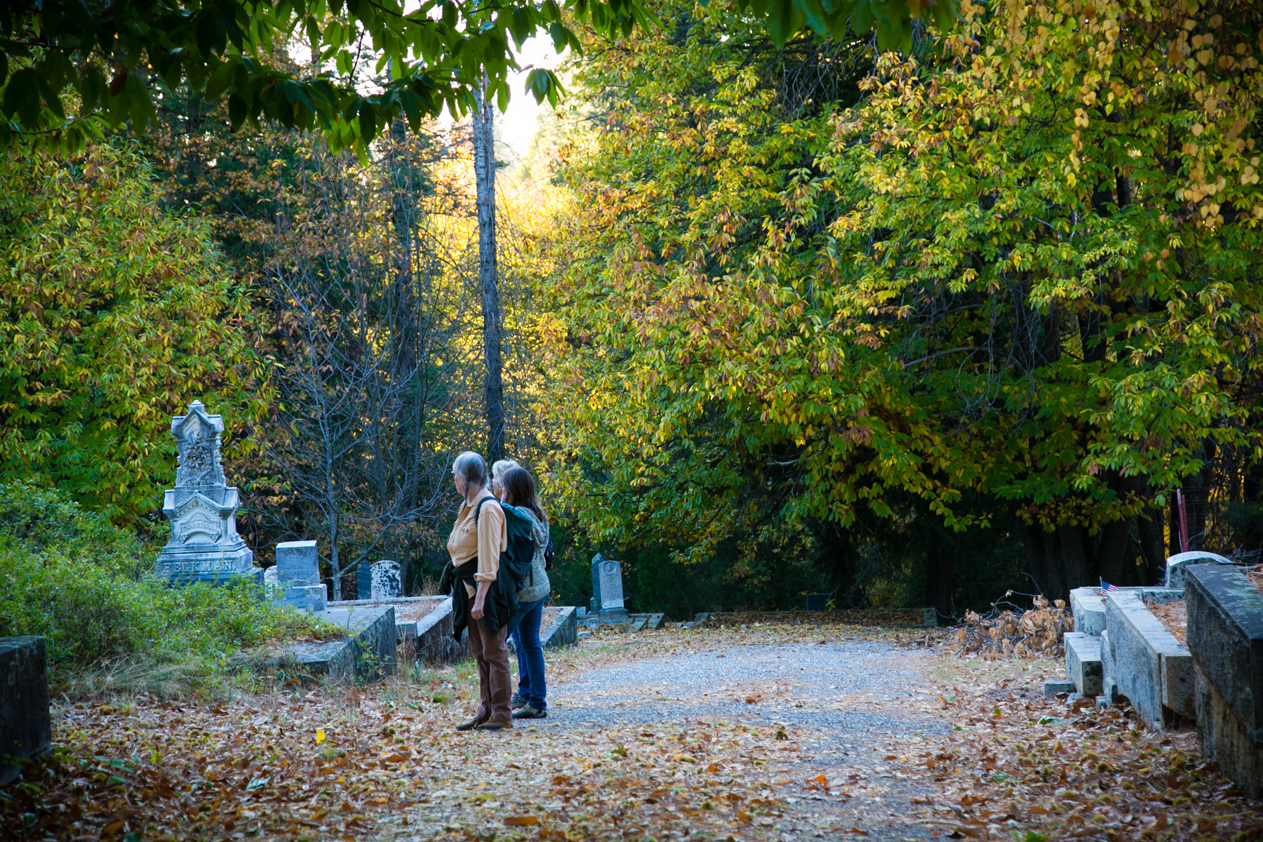 a fall day in a cemetery in Nevada County