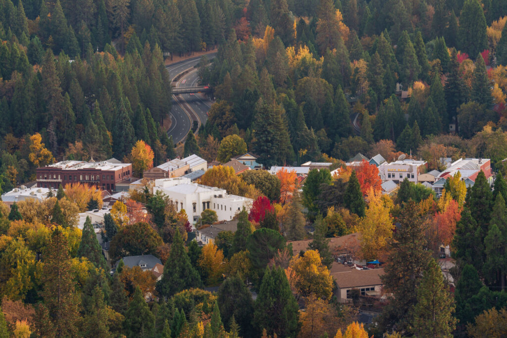 aerial shot of fall foliage in Nevada City CA