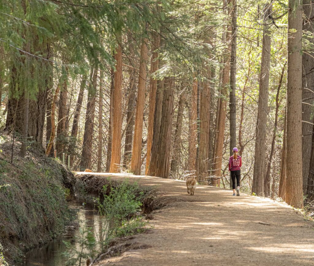 A woman and her dog out for a walk on the Cascade Canal Trail