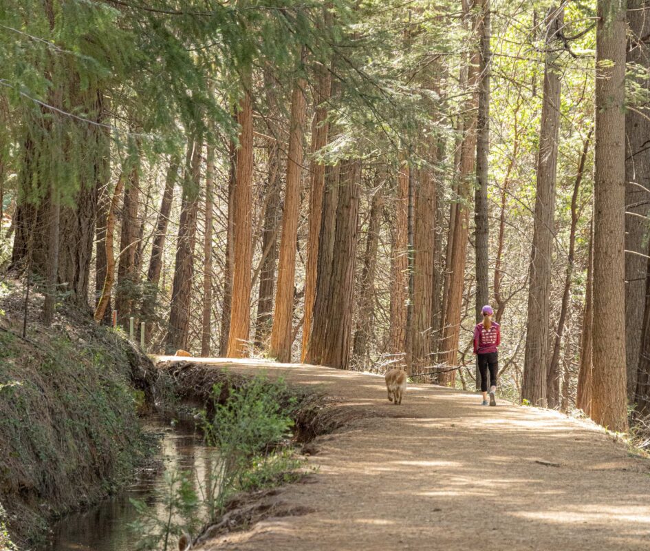 A woman and her dog out for a walk on the Cascade Canal Trail