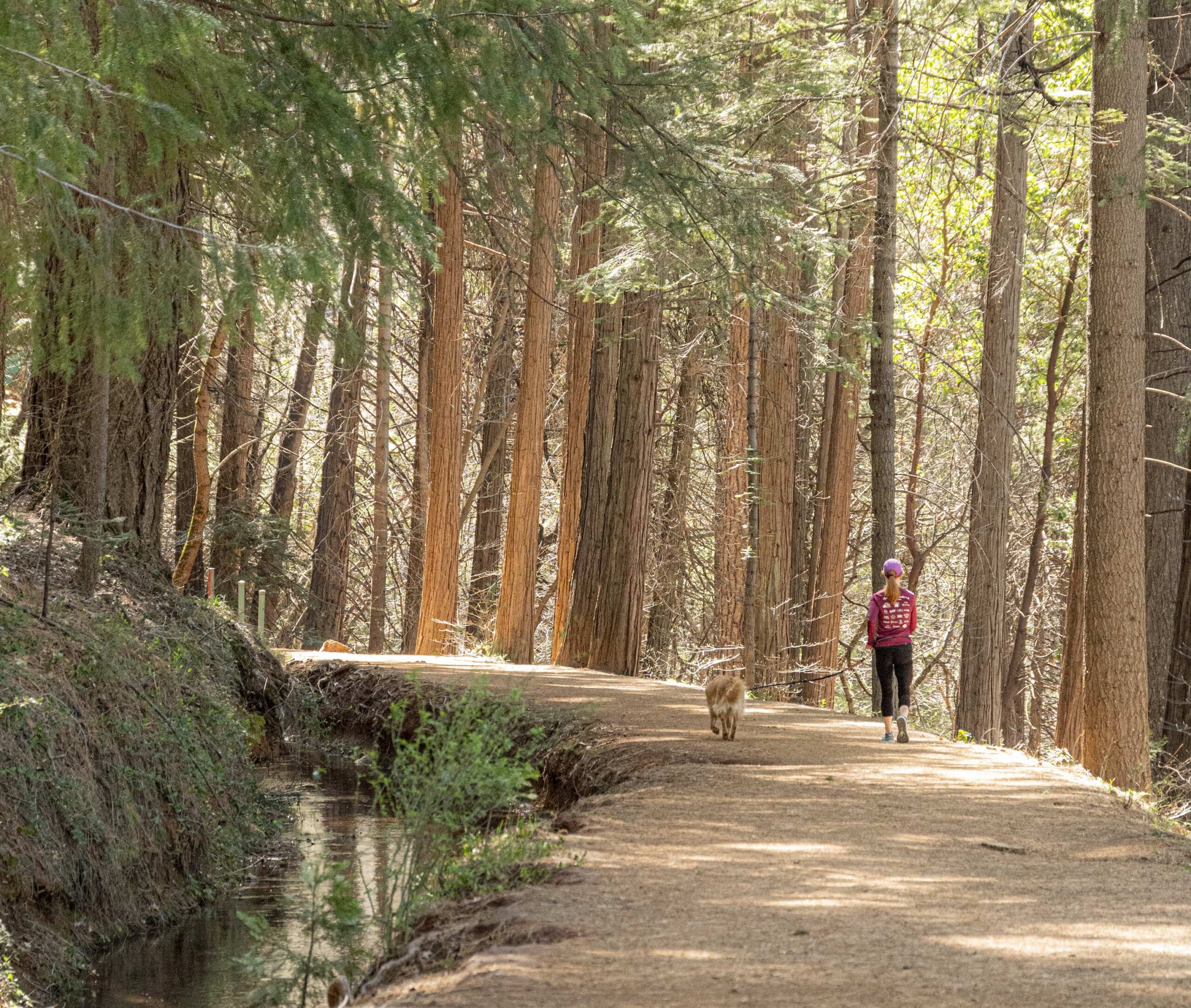 A woman and her dog out for a walk on the Cascade Canal Trail