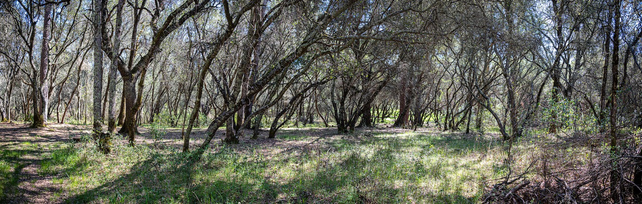 Western Gateway Park