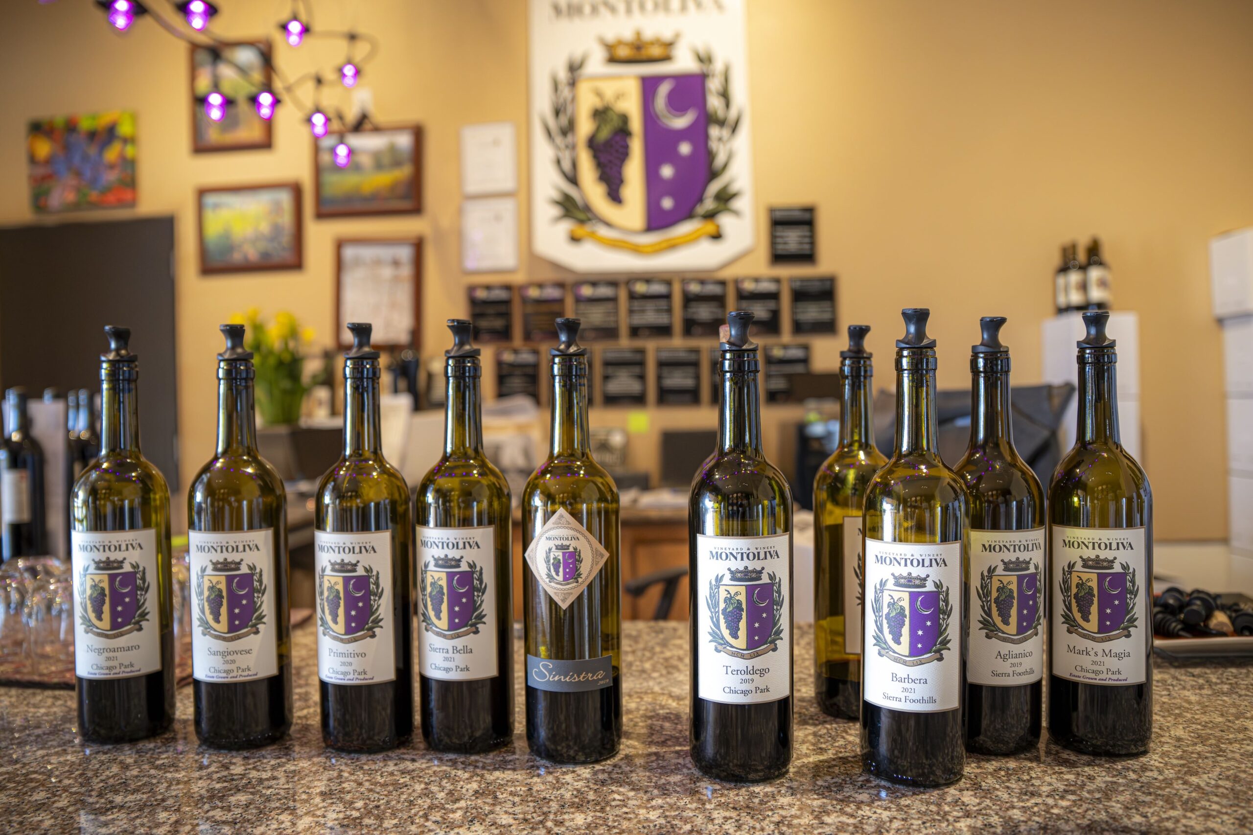 The full line-up of wines at Montoliva Winery