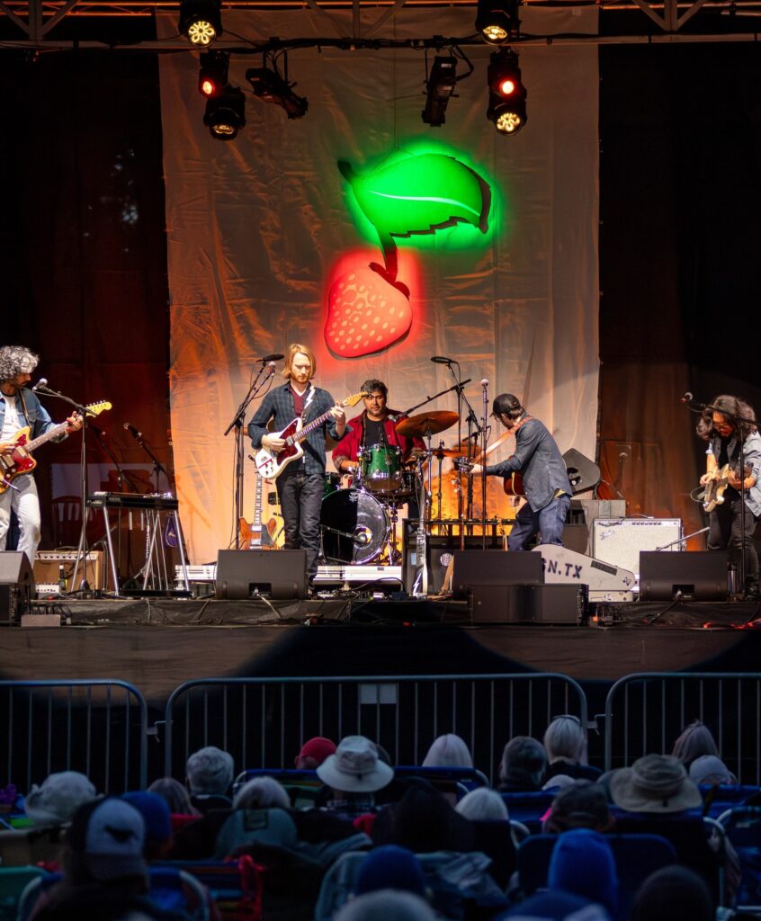 musicians playing at the Strawberry Music Festival