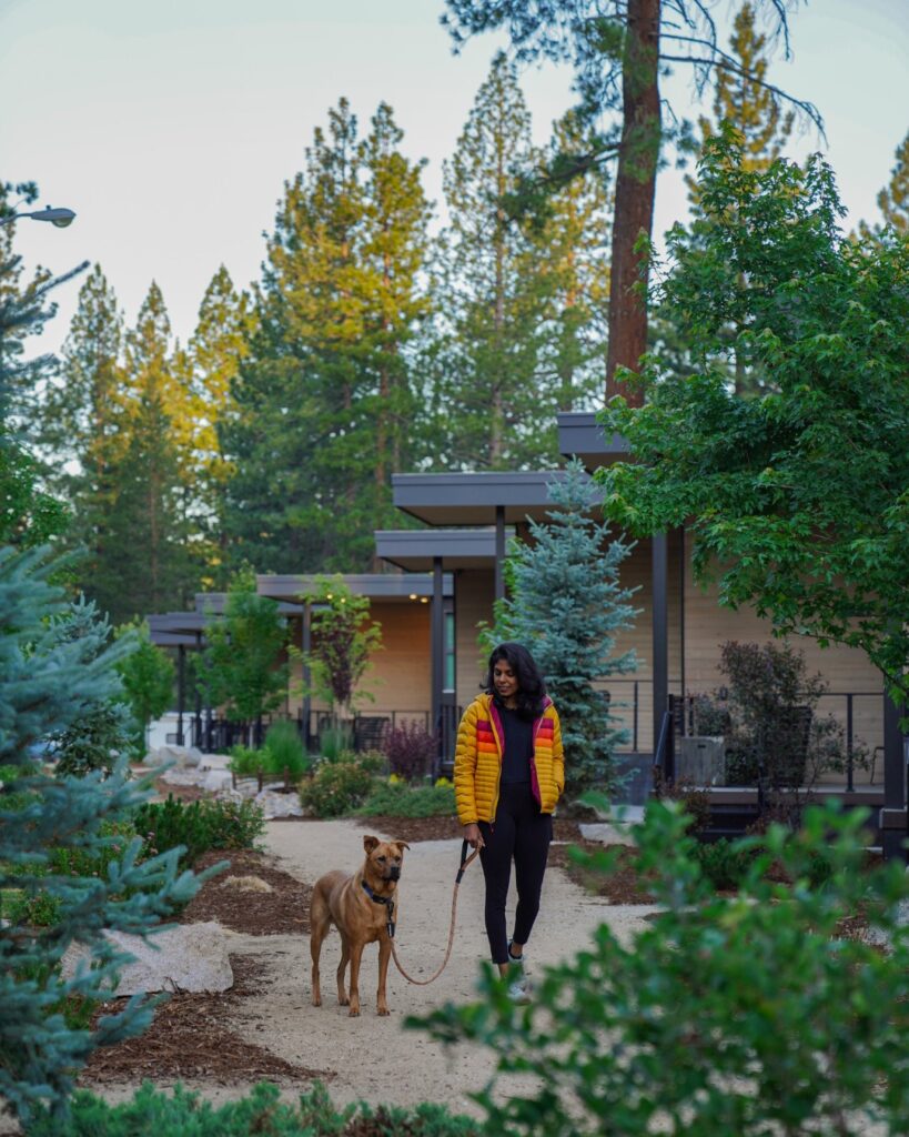 glamping in Truckee