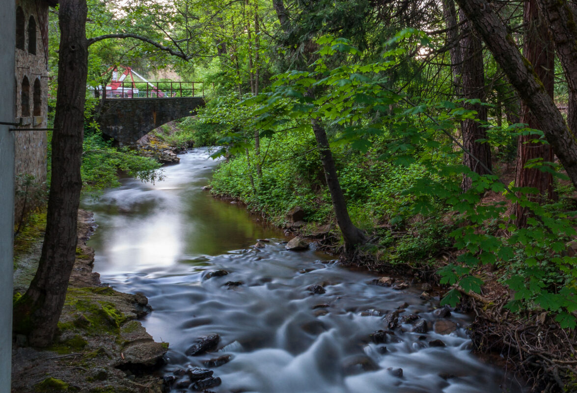 Classic shot of the Wolf Creek trail with the actual Wolf Creek flowing by
