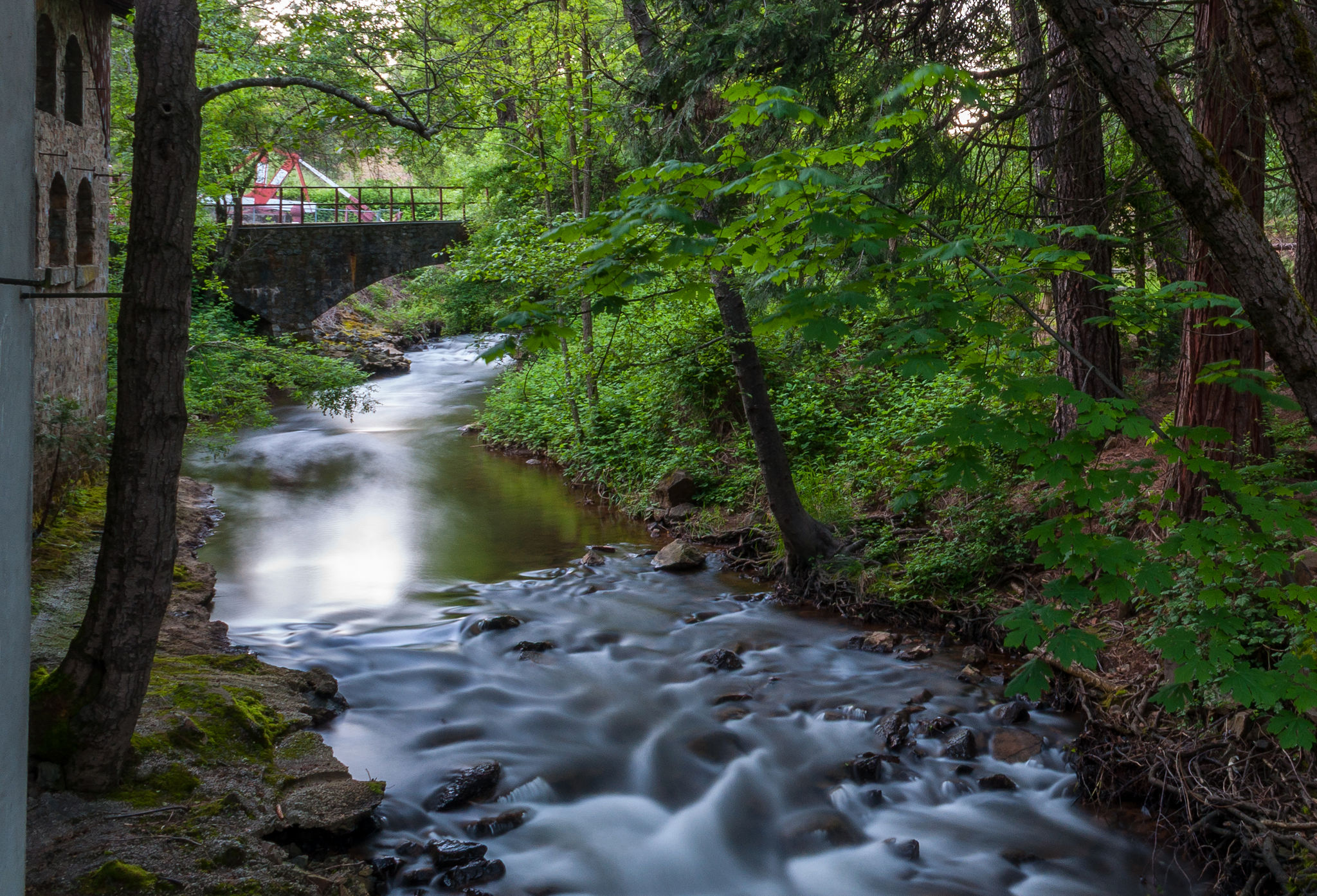Classic shot of the Wolf Creek trail with the actual Wolf Creek flowing by