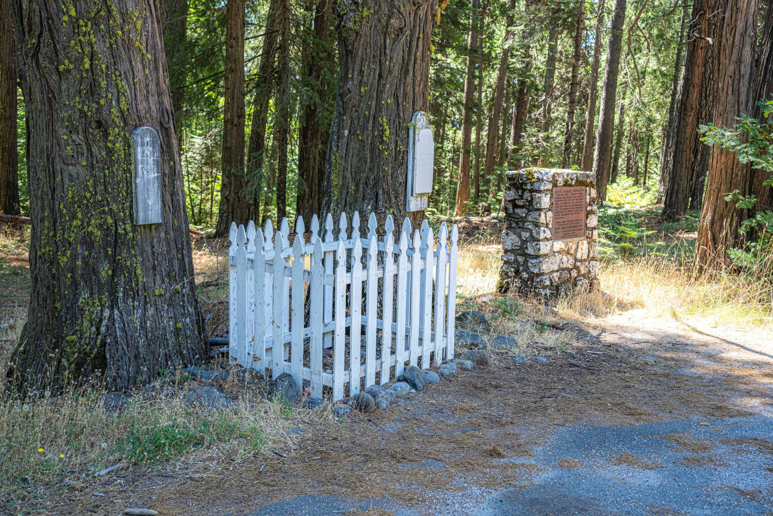 lone grave on Highway 20