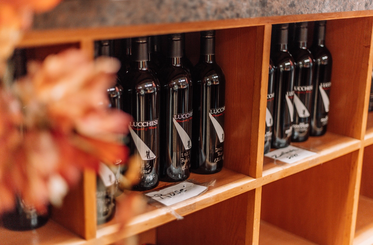 a shelf showcasing the Lucchesi Wines