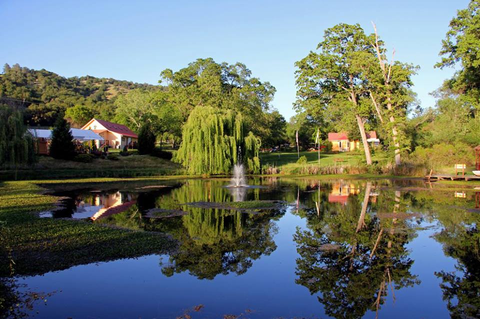 Sivananda Ashram Yoga Farm in Grass Valley CA
