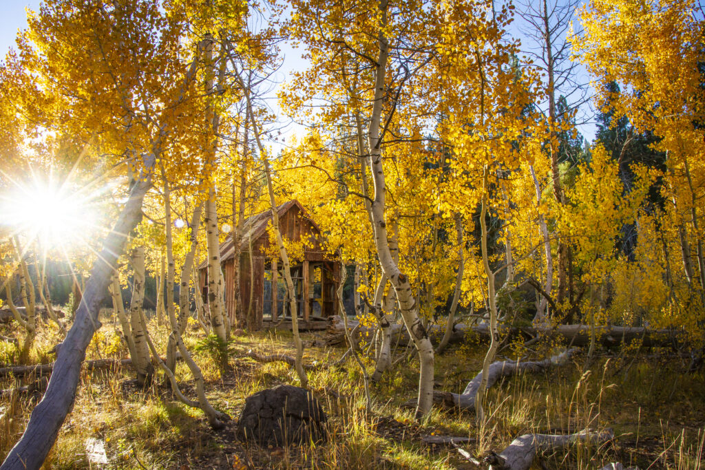 a cabin surrounded by Fall foliage near Truckee California