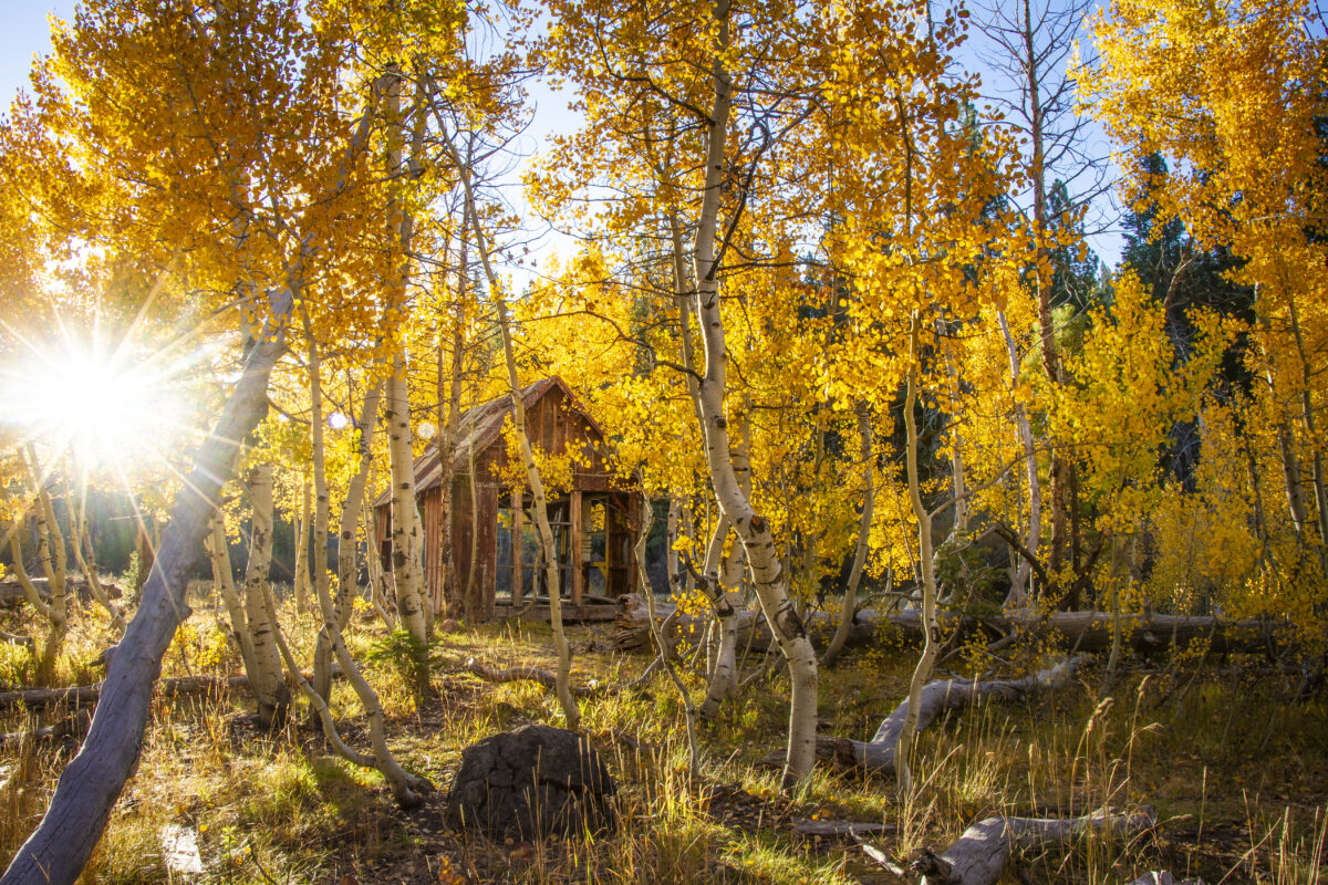 a cabin surrounded by Fall foliage near Truckee California