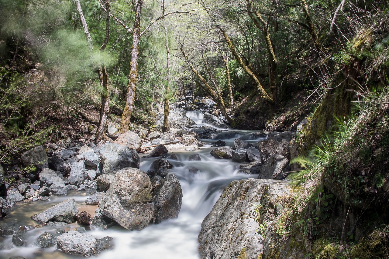 Spring Creek Trail in the early spring