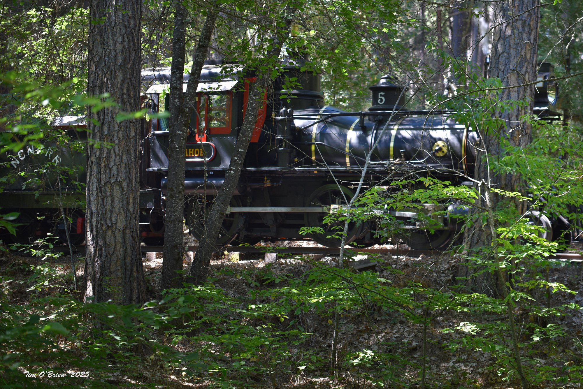 Engine 5 at Nevada County Narrow Gauge Railroad