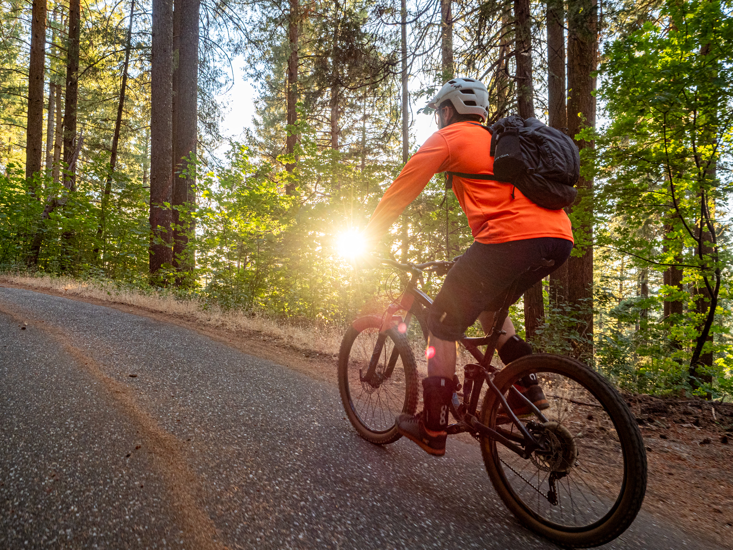person mountain biking in Nevada City California