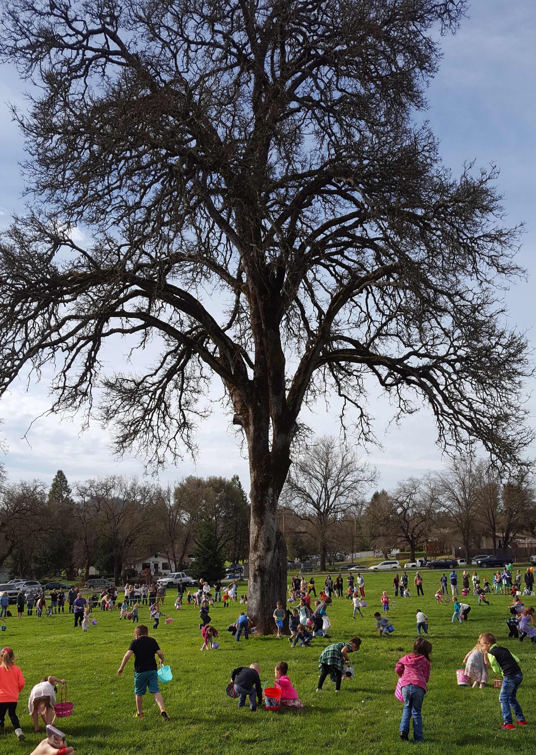 Penn Valley Easter Egg Hunt